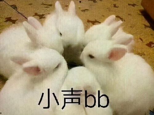 黑料吃瓜网apk普通安装